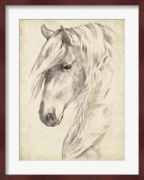 Horse Portrait Sketch II Fine Art Print