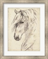 Horse Portrait Sketch II Fine Art Print