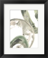 Concentric Lichen I Fine Art Print