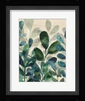Verdant Sophistication II Framed Print