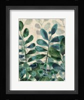 Verdant Sophistication III Framed Print