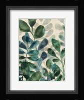 Verdant Sophistication IV Framed Print
