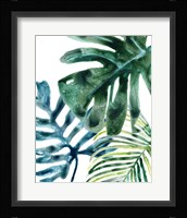 Tropical Leaf Medley III Framed Print