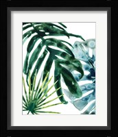 Tropical Leaf Medley IV Framed Print