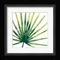 Tropical Jewel I Framed Print