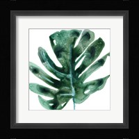 Tropical Jewel II Framed Print