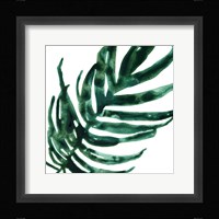 Tropical Jewel VI Framed Print