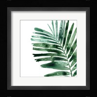 Tropical Jewel VII Framed Print