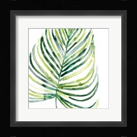 Tropical Jewel IX Framed Print