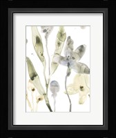 Stone Moss Stems I Framed Print