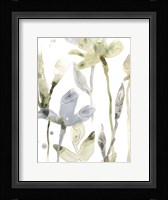 Stone Moss Stems II Framed Print