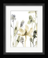 Stone Moss Stems V Framed Print