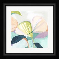 Fan Flowers I Framed Print