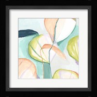 Fan Flowers III Framed Print