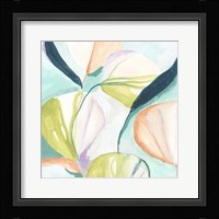Fan Flowers IV Framed Print