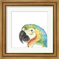 Tropical Bird Portrait I Fine Art Print