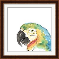 Tropical Bird Portrait I Fine Art Print