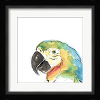 Tropical Bird Portrait I Framed Print