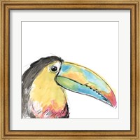 Tropical Bird Portrait II Fine Art Print