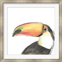 Tropical Bird Portrait III Fine Art Print