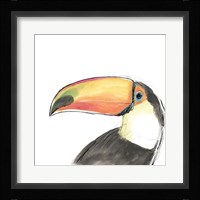 Tropical Bird Portrait III Framed Print