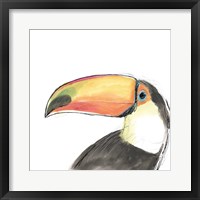 Tropical Bird Portrait III Framed Print