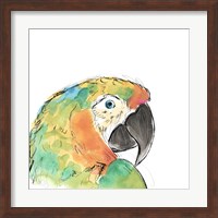 Tropical Bird Portrait IV Fine Art Print