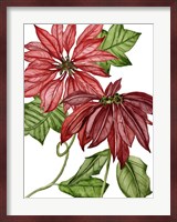 Merry Blossom III Fine Art Print