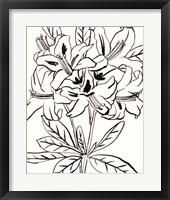 Self III Framed Print