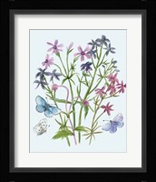 Wildflowers Arrangements II Framed Print