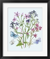 Wildflowers Arrangements II Framed Print