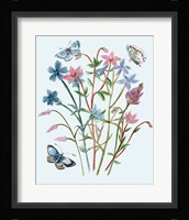 Wildflowers Arrangements III Framed Print
