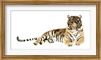 Watercolor Tiger II Fine Art Print