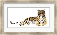 Watercolor Tiger II Fine Art Print