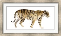 Watercolor Tiger IV Fine Art Print