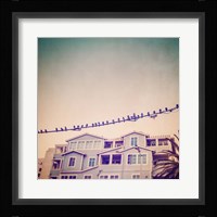 Birds on Wires I Fine Art Print