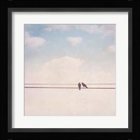 Birds on Wires II Fine Art Print