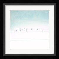Birds on Wires IV Fine Art Print