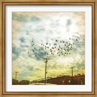 Birds on Wires V Fine Art Print