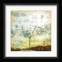 Birds on Wires V Fine Art Print