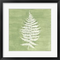 Forest Ferns I Framed Print