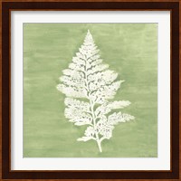 Forest Ferns IV Fine Art Print