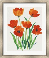 Red Tulips in Bloom I Fine Art Print