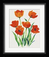 Red Tulips in Bloom I Fine Art Print