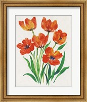 Red Tulips in Bloom II Fine Art Print