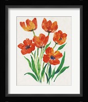 Red Tulips in Bloom II Fine Art Print