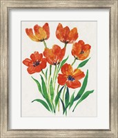 Red Tulips in Bloom II Fine Art Print