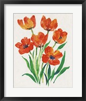 Red Tulips in Bloom II Framed Print