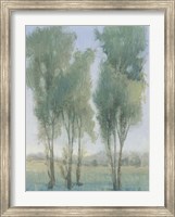 Tree Grove II Fine Art Print