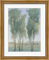 Tree Grove II Fine Art Print